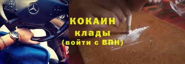 трава Магас
