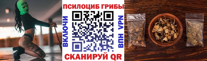 маркетплейс состав  Пудож  Галлюциногенные грибы ЛСД 