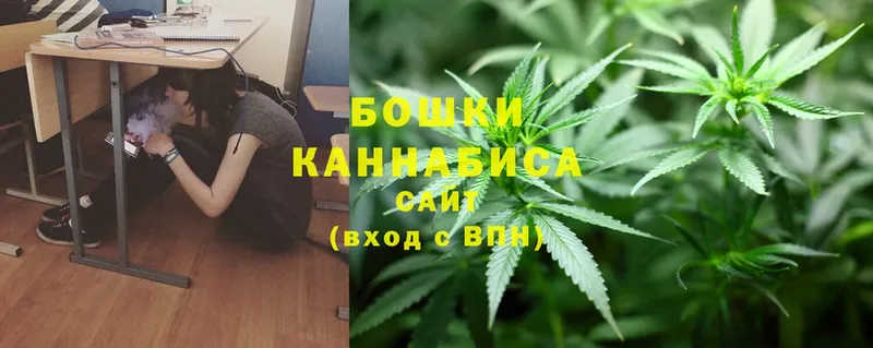 Шишки марихуана SATIVA & INDICA  где продают наркотики  Пудож 